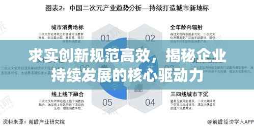 求实创新规范高效，揭秘企业持续发展的核心驱动力