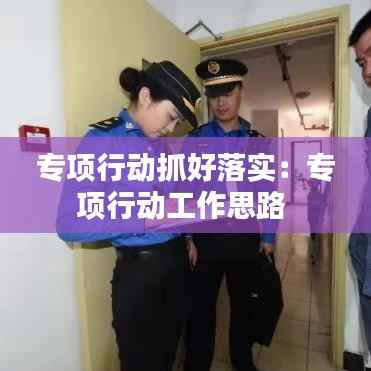 专项行动抓好落实:专项行动工作思路