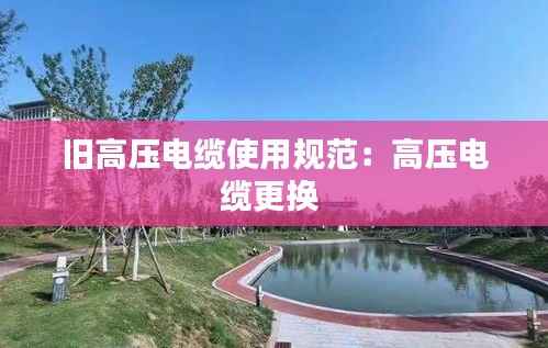 旧高压电缆使用规范：高压电缆更换 