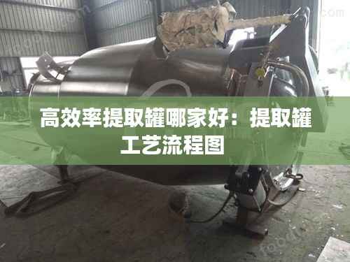 高效率提取罐哪家好:提取罐工艺流程图