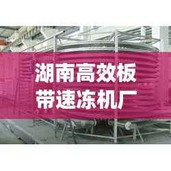 湖南高效板带速冻机厂家:湖南高效板带速冻机厂家排名