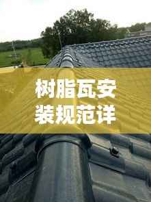 打张鸡儿 第5页