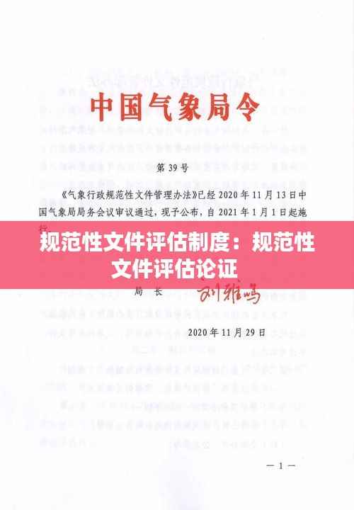 规范性文件评估制度:规范性文件评估论证