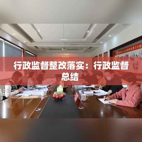 行政监督整改落实：行政监督总结 