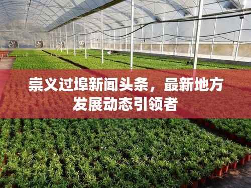 崇义过埠新闻头条,最新地方发展动态引领者