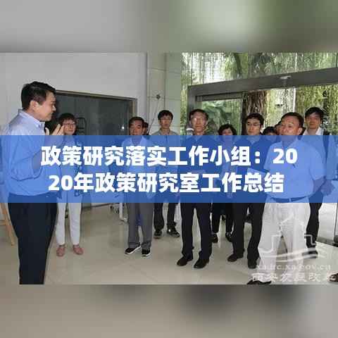 政策研究落实工作小组:2020年政策研究室工作总结