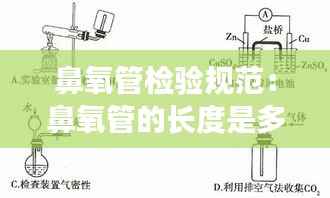 鼻氧管检验规范:鼻氧管的长度是多少