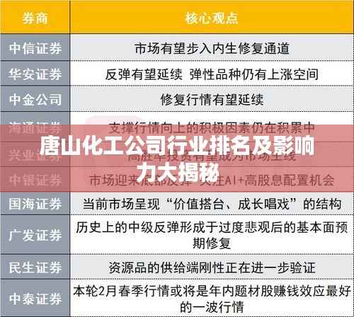 唐山化工公司行业排名及影响力大揭秘