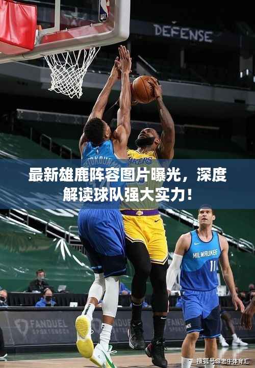 最新雄鹿阵容图片曝光,深度解读球队强大实力!