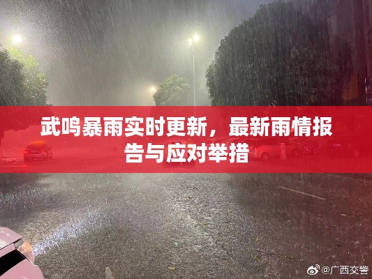 武鸣暴雨实时更新,最新雨情报告与应对举措