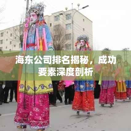 海东公司排名揭秘,成功要素深度剖析