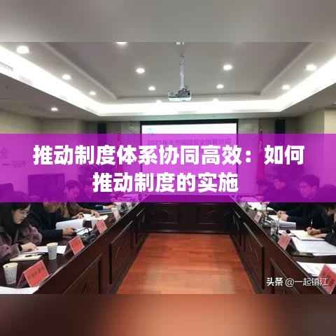 推动制度体系协同高效:如何推动制度的实施