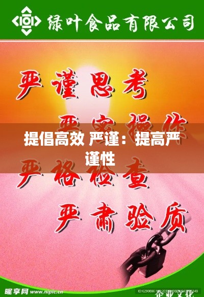 提倡高效 严谨:提高严谨性