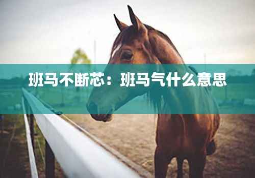 班马不断芯:班马气什么意思