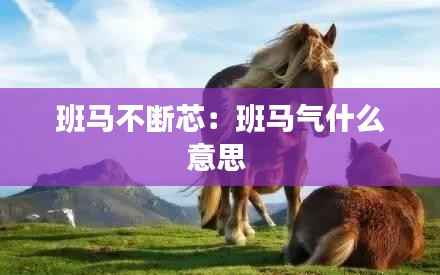 班马不断芯:班马气什么意思