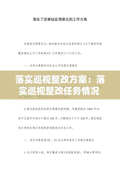 落实巡视整改方案:落实巡视整改任务情况