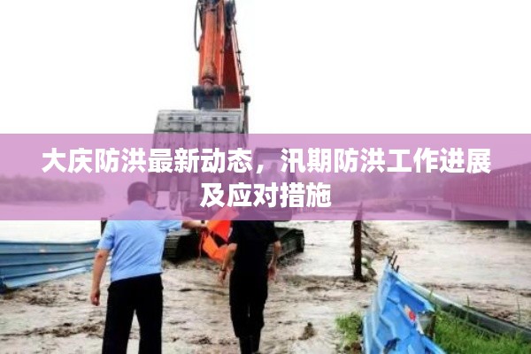 大庆防洪最新动态，汛期防洪工作进展及应对措施