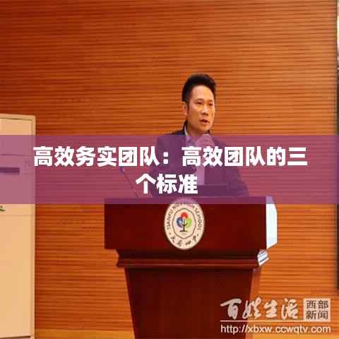 高效务实团队:高效团队的三个标准