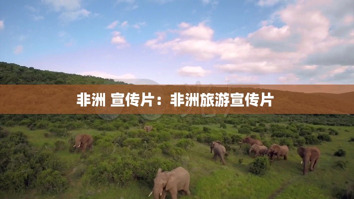 非洲 宣传片:非洲旅游宣传片