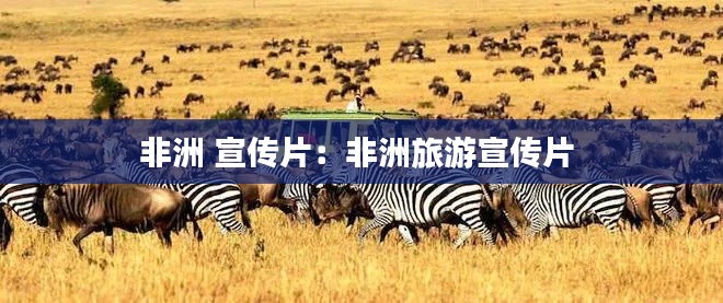 非洲 宣传片:非洲旅游宣传片