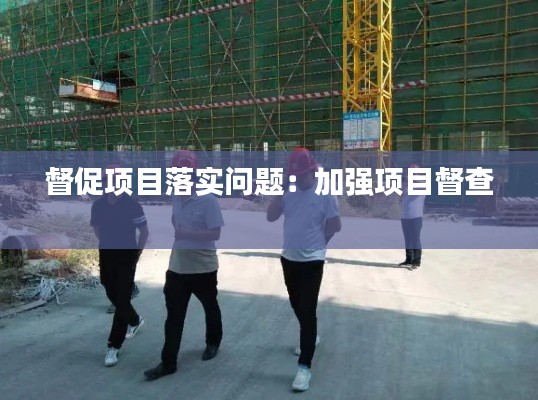 督促项目落实问题:加强项目督查