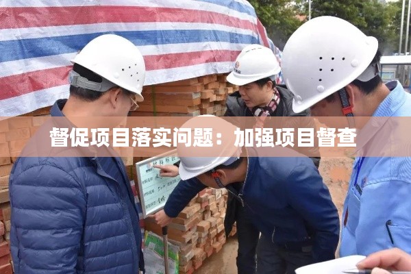 督促项目落实问题:加强项目督查