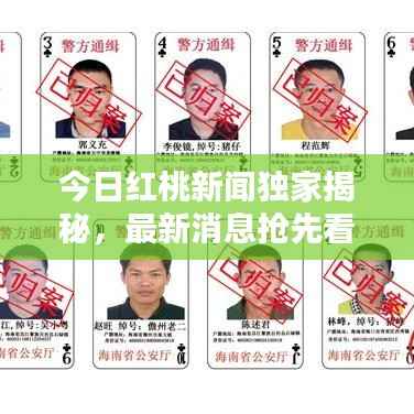 今日红桃新闻独家揭秘,最新消息抢先看!