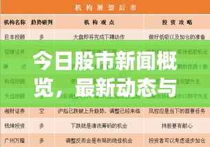 今日股市新闻概览,最新动态与市场走势分析