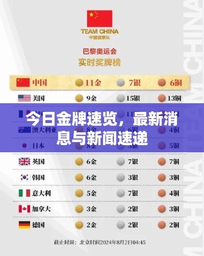 今日金牌速览,最新消息与新闻速递
