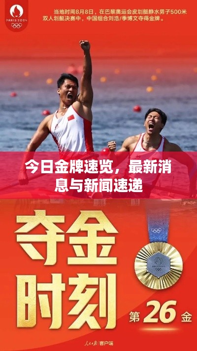 今日金牌速览,最新消息与新闻速递