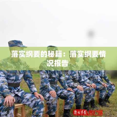 落实纲要的秘籍:落实纲要情况报告