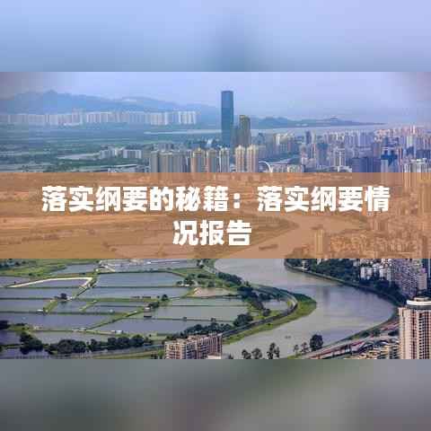 落实纲要的秘籍:落实纲要情况报告