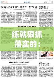 练就狠抓落实的:狠抓落实的意思