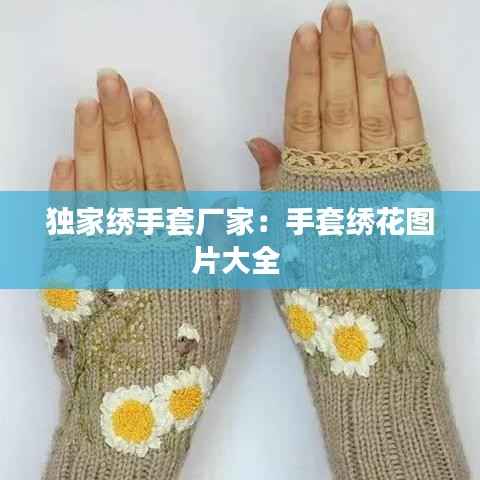 独家绣手套厂家:手套绣花图片大全