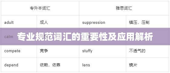 专业规范词汇的重要性及应用解析
