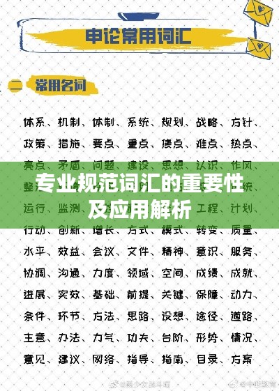 专业规范词汇的重要性及应用解析