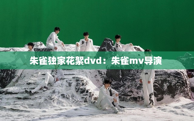 朱雀独家花絮dvd:朱雀mv导演