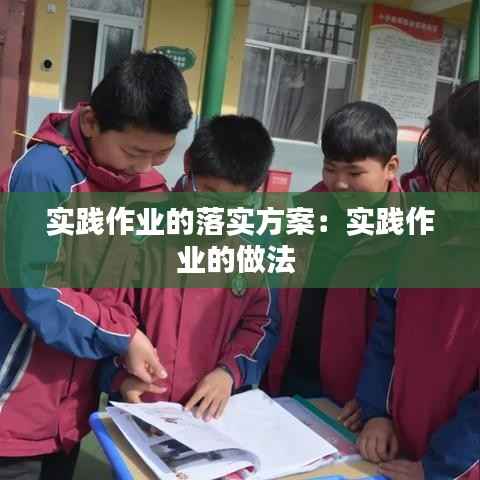 实践作业的落实方案:实践作业的做法