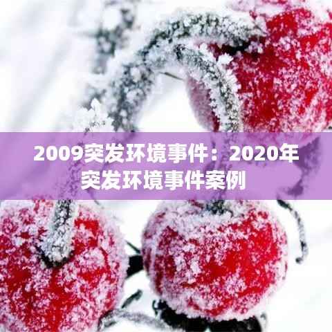 2009突发环境事件:2020年突发环境事件案例