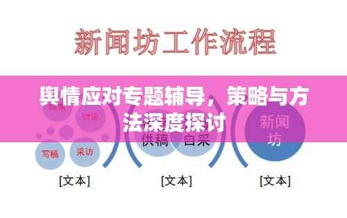 舆情应对专题辅导,策略与方法深度探讨