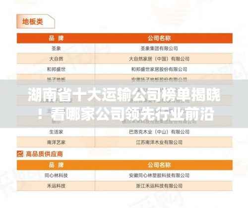 湖南省十大运输公司榜单揭晓!看哪家公司领先行业前沿