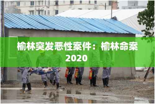 榆林突发恶性案件：榆林命案2020 
