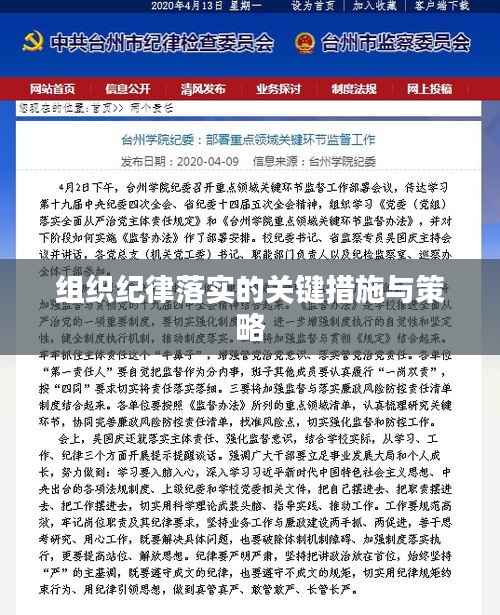 组织纪律落实的关键措施与策略