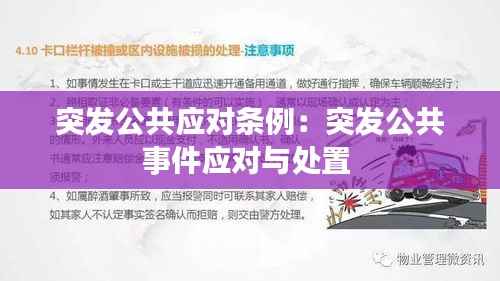 突发公共应对条例:突发公共事件应对与处置