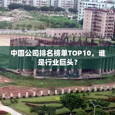 中国公司排名榜单TOP10,谁是行业巨头?