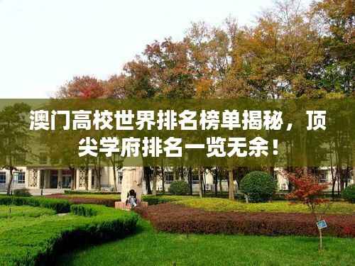 澳门高校世界排名榜单揭秘，顶尖学府排名一览无余！