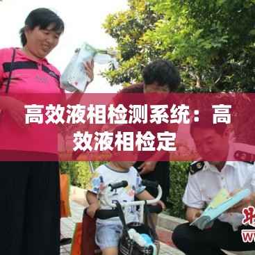 高效液相检测系统：高效液相检定 