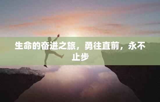 生命的奋进之旅，勇往直前，永不止步