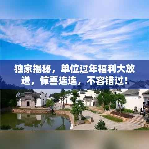 独家揭秘,单位过年福利大放送,惊喜连连,不容错过!