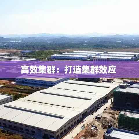 高效集群:打造集群效应